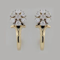 Nakshatra Earring - PGERG26431