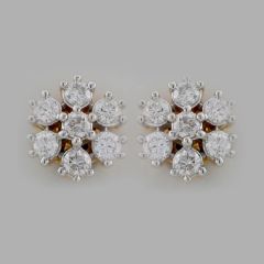 Nakshatra Earring