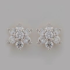 Nakshatra Earring - PGERG26460